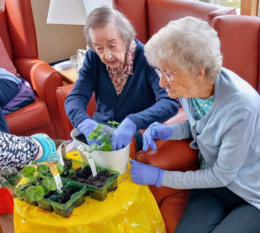 Two elderly women at Lear House celebrate planting day, wearing gloves as they transfer seedlings into a white pot on a table covered with a yellow sheet—ideal for balcony gardening.