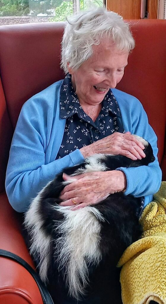 At Lear House, an elderly woman in a red armchair smiles as she strokes a black and white animal, possibly a skunk, resting on her lap with a yellow blanket nearby during a visit.