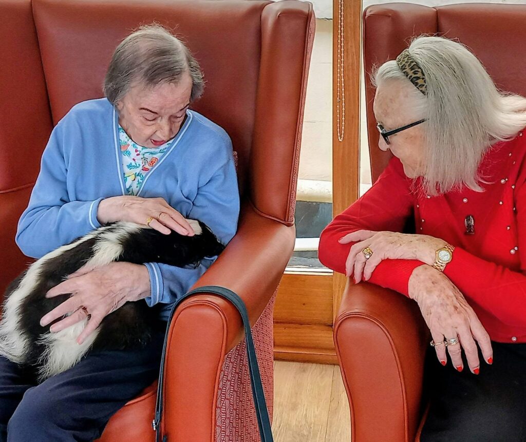During a visit to Lear House, two elderly women relax in armchairs; one gently strokes a skunk on her lap whilst the other smiles, both savouring the moment as the presence of the Owl Man lingers nearby.