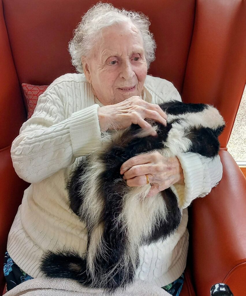 During a visit to Lear House, an elderly woman in a white jumper sits in a red chair, smiling as she gently holds a black and white skunk on her lap.