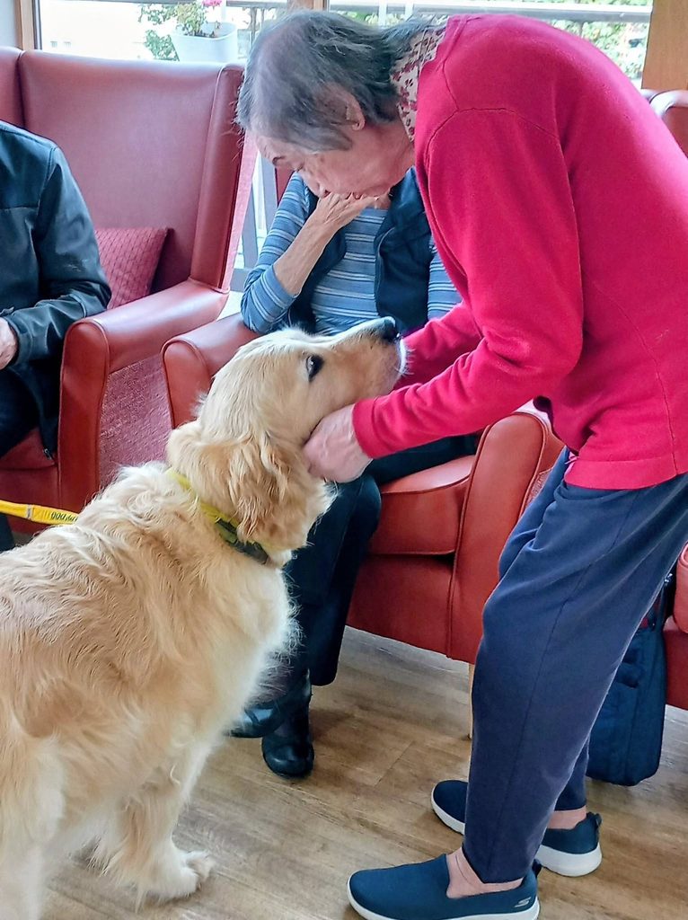 An elderly person in a red jumper gently holds the face of a golden retriever, one of the Therapy Dogs Nationwide, in a room with armchairs, whilst another person sits nearby watching.