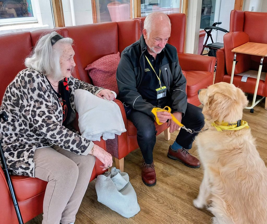 An elderly woman and Tim sit on red chairs, engaging with Gwyl, a golden retriever in a yellow vest from Therapy Dogs Nationwide, in a room with wooden flooring.