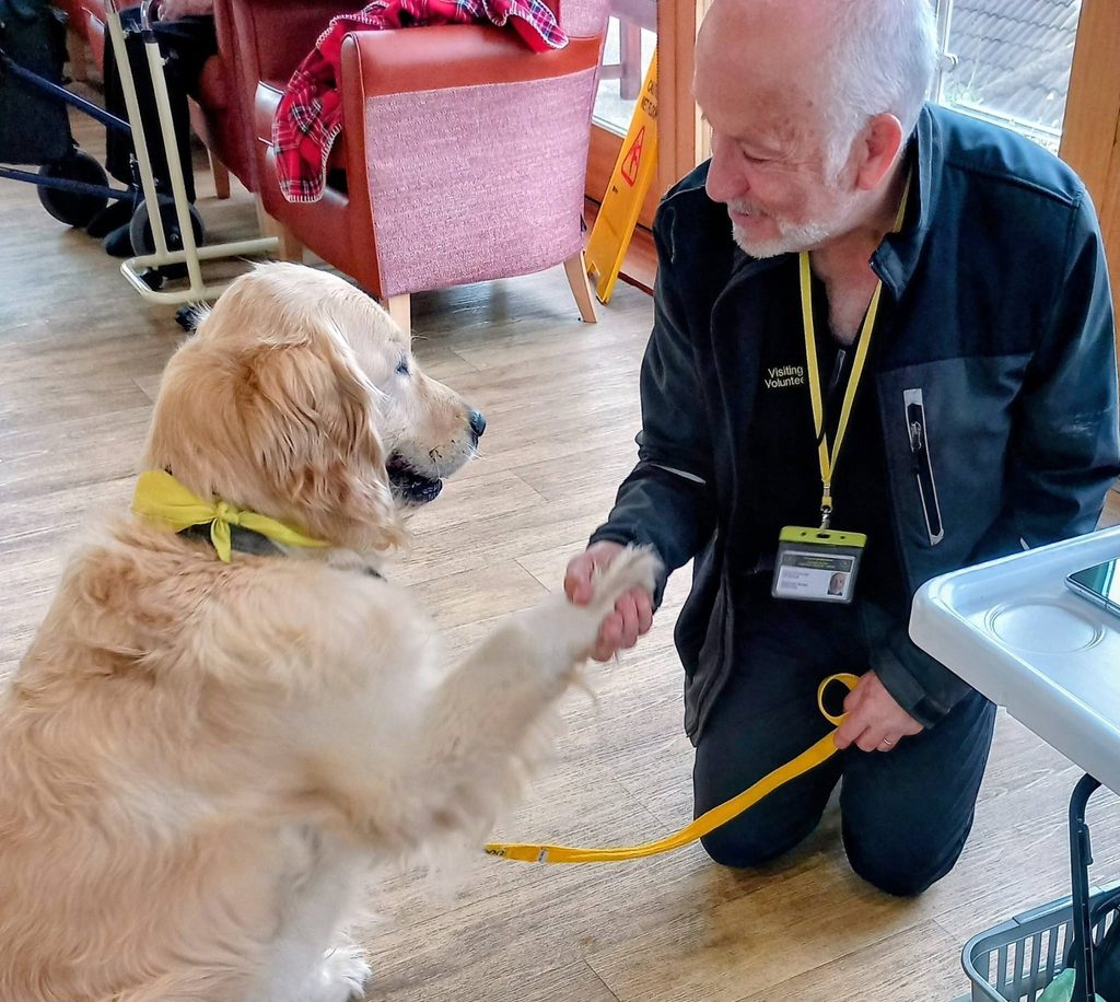 Tim kneels indoors, smiling as he shakes hands with Gwyl, a golden retriever from Therapy Dogs Nationwide, who is wearing a yellow bandana and lead.