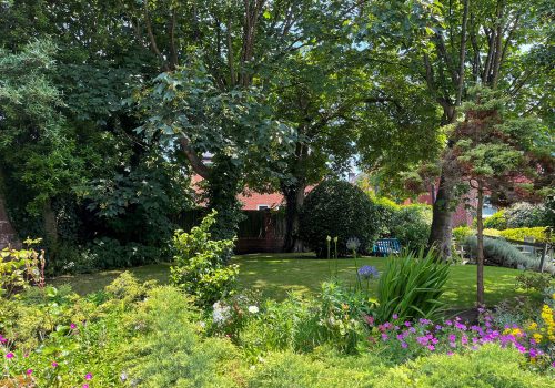 The garden of the residential care home features green grass, various plants, and trees. Pink flowers and shrubs adorn the foreground, whilst a blue bench sits in the background under the shade of towering trees, offering a peaceful retreat for residents.